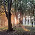 Sana Hideout, Romantisch Boshuisjes Voor 2 Naast Het Bos En Sauna Drome Horská chata Putten