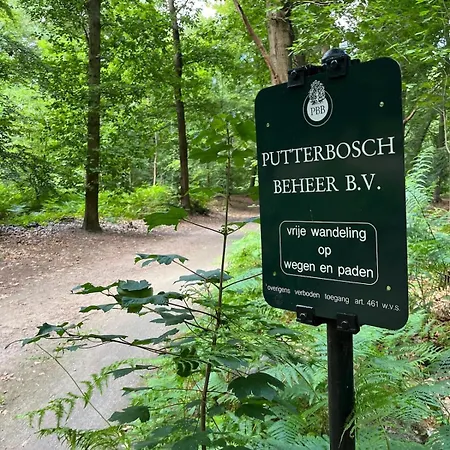 Chalet Sana Hideout, Romantisch Boshuisjes Voor 2 Naast Het Bos En Sauna Drome Putten