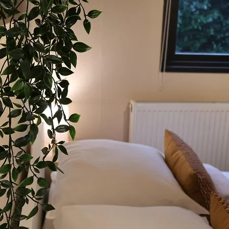 Sana Hideout, Mini Boshuisje Naast Sauna Drome En Het Bos Putten