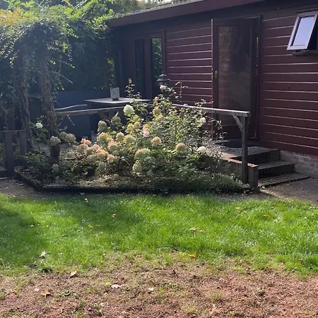 Chalet Sana Hideout, Mini Boshuisje Naast Sauna Drome En Het Bos Putten