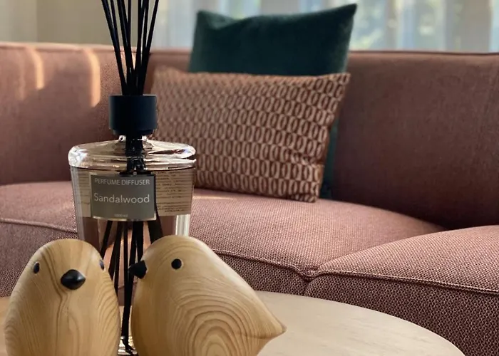 Sana Hideout, Romantisch Boshuisjes Voor 2 Naast Het Bos En Sauna Drome Chalet