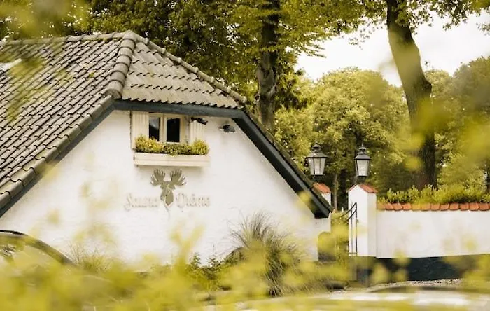 Chalet Sana Hideout, Romantisch Boshuisjes Voor 2 Naast Het Bos En Sauna Drome Putten