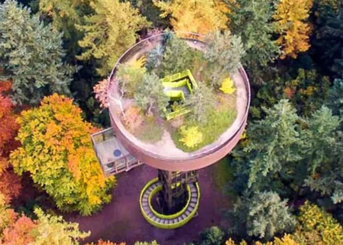 Sana Hideout, Romantisch Boshuisjes Voor 2 Naast Het Bos En Sauna Drome Putten