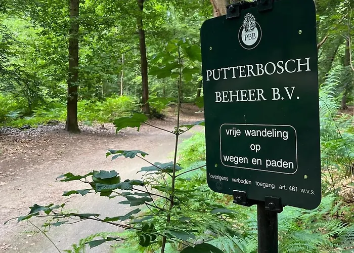 Chalet Sana Hideout, Romantisch Boshuisjes Voor 2 Naast Het Bos En Sauna Drome Putten